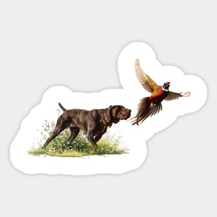 German Shorthaired Pointer Pointing at a Pheasant Sticker